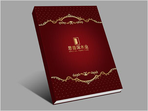 北京思普深家具公司宣傳畫冊設(shè)計案例圖片