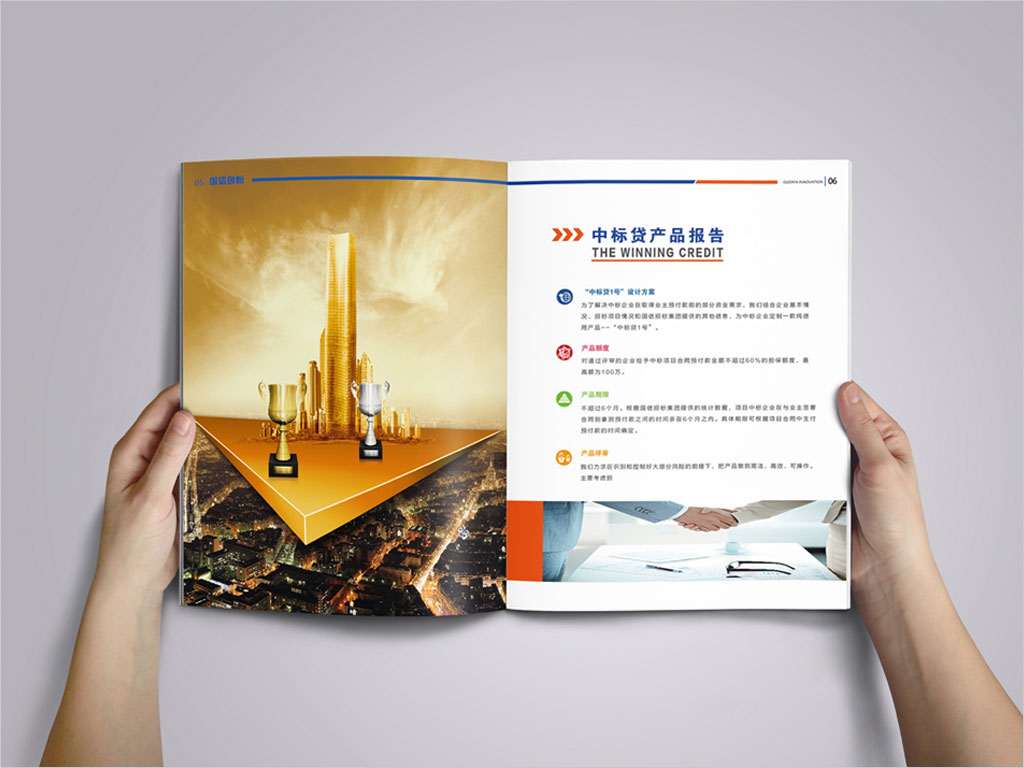 北京國信創(chuàng)新科技股份有限公司畫冊內(nèi)頁設(shè)計(jì)