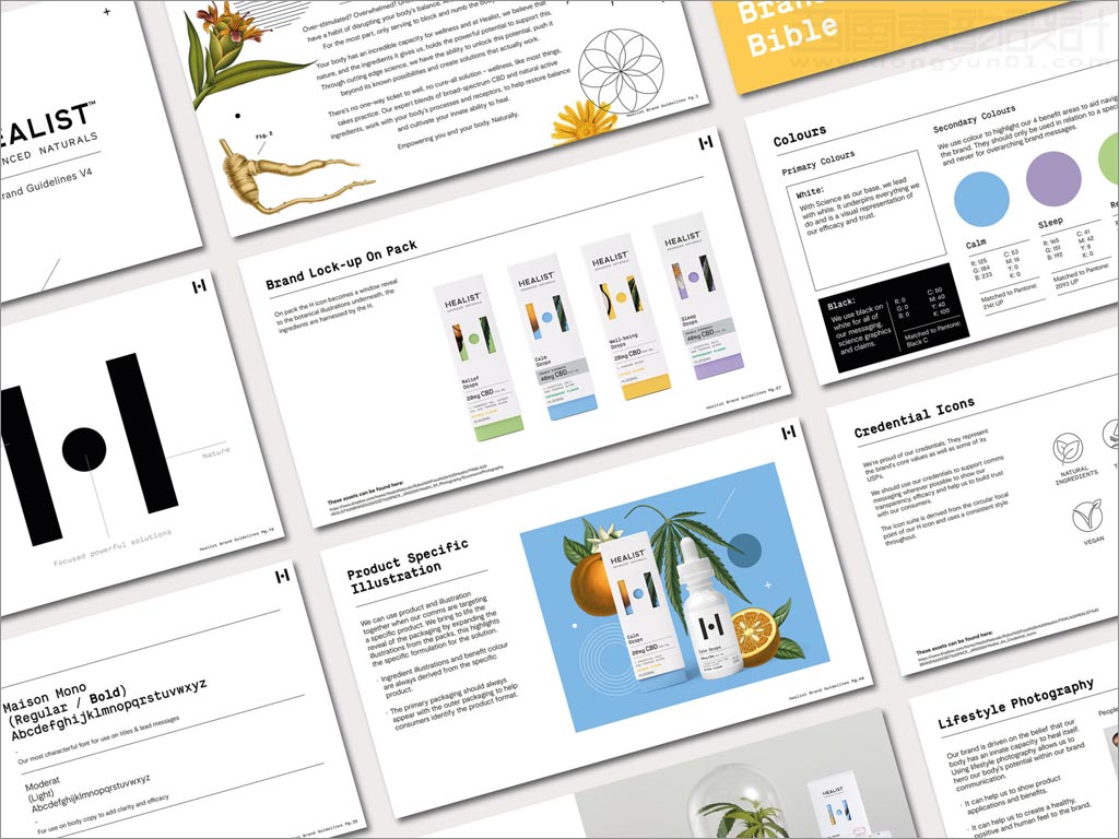 科學(xué)與自然完美融合的Healist保健品品牌vi手冊設(shè)計
