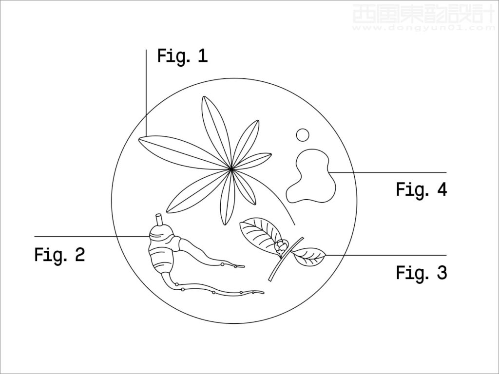 科學(xué)與自然完美融合的Healist保健品線稿插圖設(shè)計