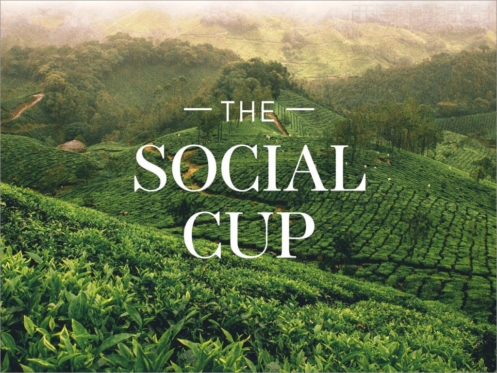 印度Social Cup茶葉品牌logo設(shè)計(jì)