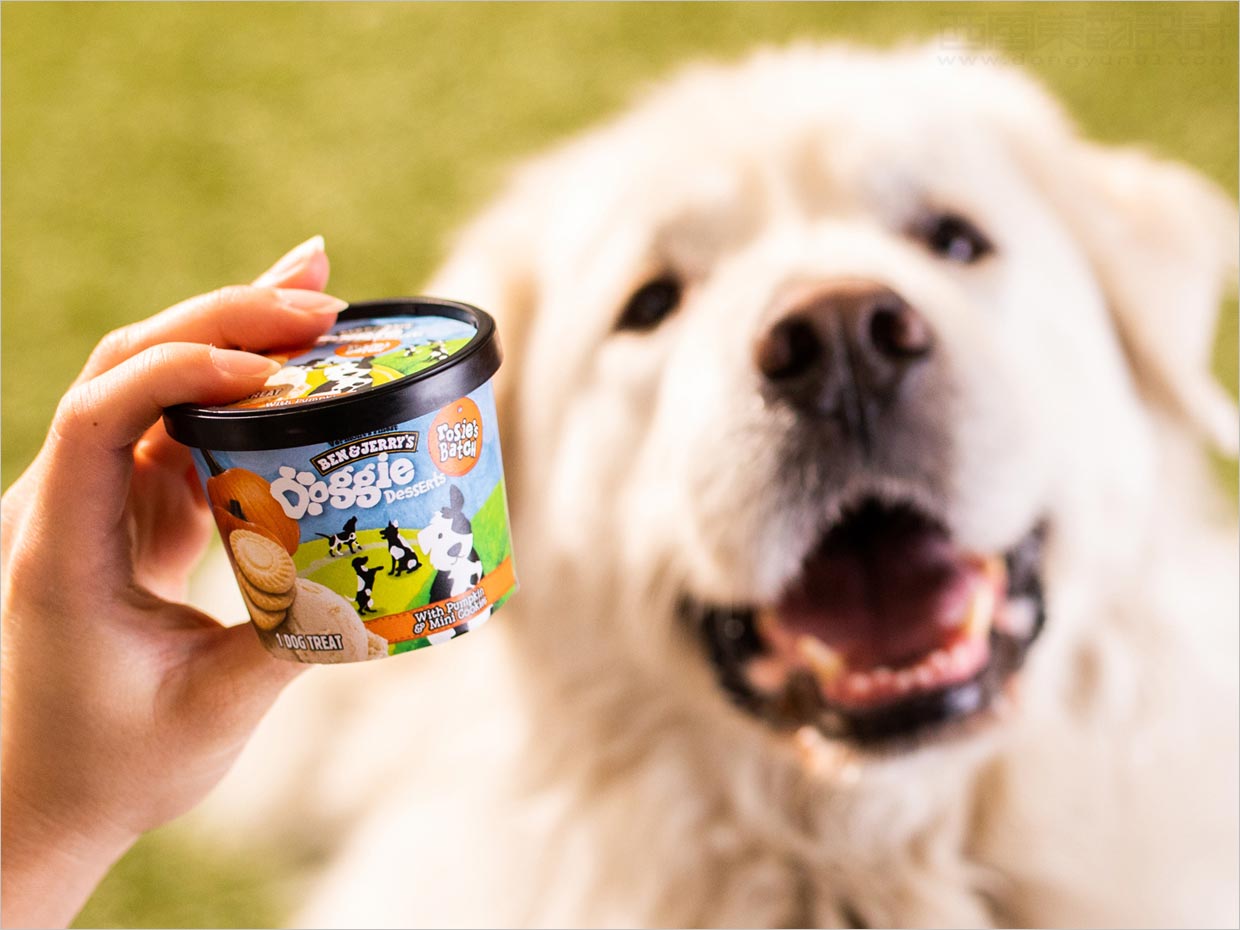 美國Doggie Desserts寵物狗冰淇淋食品包裝設計之實物照片