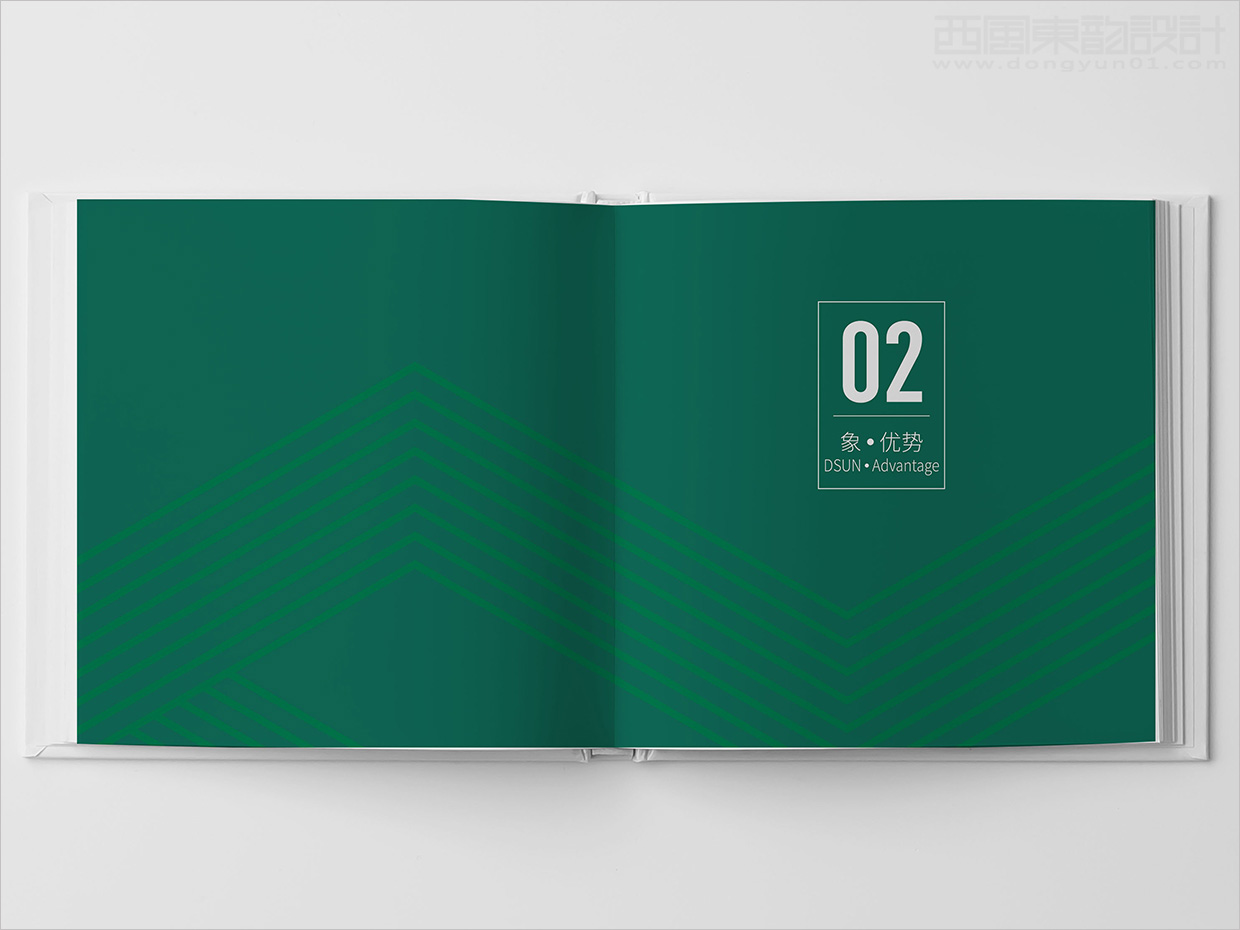 山東日照大象房屋建設(shè)公司畫冊設(shè)計之優(yōu)勢版塊形象頁設(shè)計